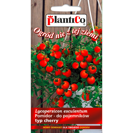 Nasiona pomidora do  wiszących do pojemników cherry